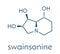 Swainsonine locoweed toxin molecule. Present in Astragalus, Oxytropis and Swainsona plant species. Skeletal formula.