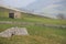 Swaledale Barn, Yorkshire Dales, UK