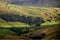 Swaledale barns and walls