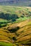 Swaledale barns, walls and beck