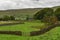 Swaledale Fields ans walls Yorkshire Dales UK