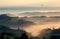 Swallow bird flying over hilly landscape at misty sunrise. Villages of Tuscany with garden trees at morning time, Italy