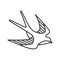 Swallow bird linear icon