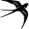 Swallow bird silhouette black