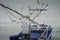 Swallow birds hanging at a rope on traditional fishing boat among the sea.selective focus.