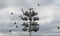 Swallow birds at their swallow houses at Grapevine Lake Tx