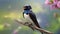 Swallow (Hirundo rustica) perched on a branch with pink flowers