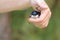 Swallow, Hirundo rustica, single baby bird fallen from nest between  fingers of a man
