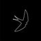 Swallow icon, Swallow logo on dark background