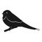 Swallow icon vector illustration. silhouette bird
