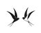 Swallow logo. Isolated swallow on white backgroun. Bird