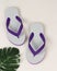 Swallow sandals white mixed with purple on a bright background.