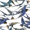 Swallow. Swallow seamless pattern watercolor