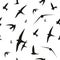 Swallow, swift, birds. Graphic vector pattern. Decorative seamless background.