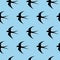 Swallow, swift, birds. Graphic vector pattern. Decorative seamless background