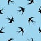 Swallow, swift, birds. Graphic vector pattern. Decorative seamless background