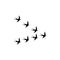 Swallows birds icon isolated on white background