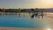 Swallows in flight quench their thirst in the water of a swimming pool