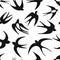 Swallows, seamless pattern for your design