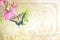 Swallowtail Butterfly background