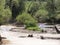 The swamp  with all its beauty rotten trees old boats and pelzzam full of green plants