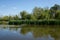 Swamp area Imperial Pond, Carska bara, Serbia. Large natural habitat for rare birds and other species