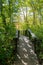 Swamp boardwalk