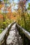 Swamp boardwalk