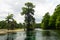 Swamp cypress trees in Wakulla River, Florida, USA