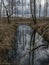 Swamp ditch in spring, trees and sky shine in water