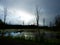 Swamp at dusk during a rain storm