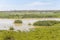Swamp on a farm in Lagoa do Peixe National Park