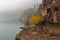 Swamp with fog and brown rocks with yellow tree