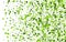 Swamp Foliage Organic Vector Pattern. Swirl Leaf