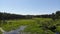 Swamp in the forest view from drone. Swampy landscape. View of an impassable swamp from a height. Aerial photography Wild forest l