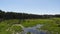 Swamp in the forest view from drone. Swampy landscape. View of an impassable swamp from a height. Aerial photography Wild forest l