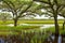 The swamp and grass of a national park.