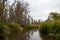 Swamp landscape, aquatic vegetation, swamp in Louisiana