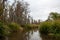 Swamp landscape, aquatic vegetation, swamp in Louisiana, USA