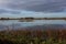 Swamp landscape Groene Jonker in Autumn, Nieuwkoopse Plassen in the Netherlands