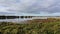 Swamp landscape Groene Jonker in Autumn, Nieuwkoopse Plassen in the Netherlands