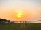 Swamp landscape at sunset. soccer field and animals in the background