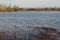 Swamp marshland water landscape. Swamp land backwater panorama. Swamp autumn landscape