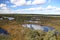 Swamp meadow field autumn National Park Kemeri Latvia landscapes