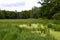 Swamp on a meadow in the forest on southern Moravia