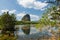 Swamp and mountain at Klong Rood, Krabi