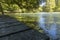 Swamp scene in Louisiana with cypress trees.