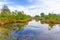 Swamp scenery on the Koh Kho Khao island