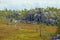 Swamp and stone ridge on the upper plateau of Mount Vottovaara. Korelia