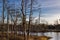 Swamp at sunset with dark clouds in Latvia.